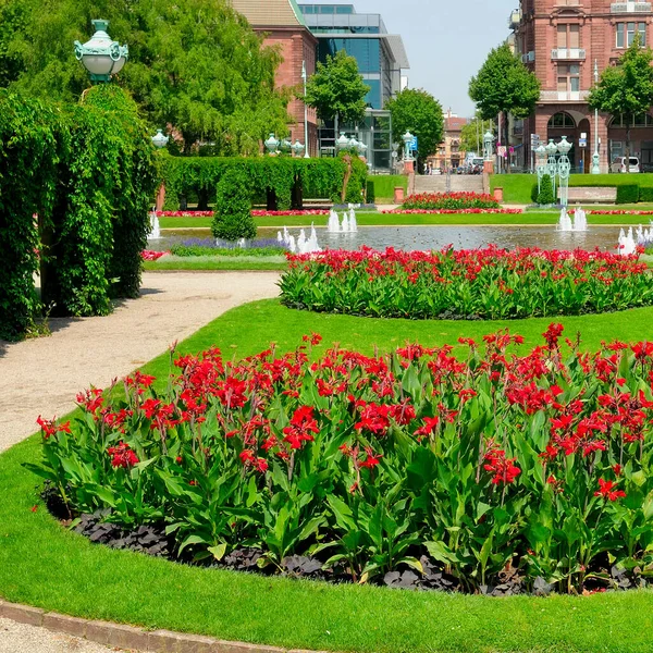 Smukt Bylandskab Med Lyse Blomsterbede Græsplæner Friedrichsplatz Plads Mannheim Tyskland - Stock-foto