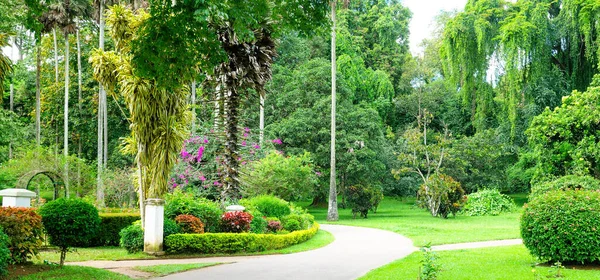 Літній Сад Красивими Зеленими Газонами Широкі Фотографії — стокове фото