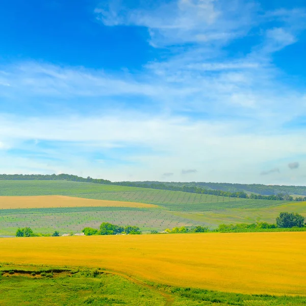 Malerisches Feld Und Blauer Himmel Agrarlandschaft — Stockfoto