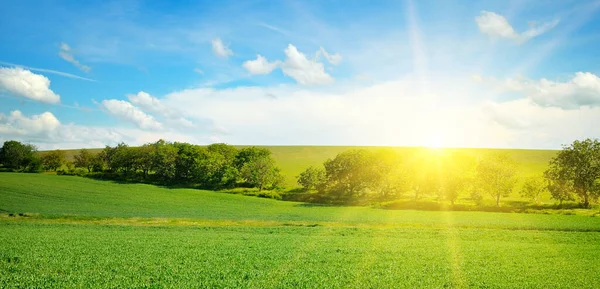薄雲の中 青空に緑の野と太陽 広い写真 — ストック写真