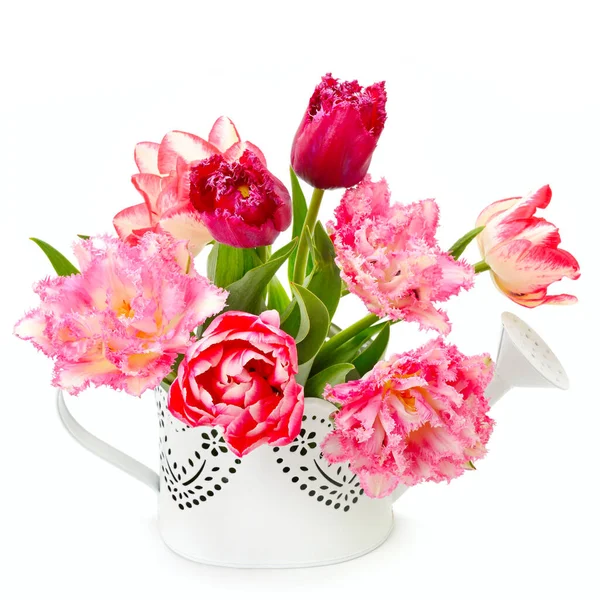 Ramo Hermosos Tulipanes Una Regadera Decorativa Aislada Sobre Fondo Blanco —  Fotos de Stock