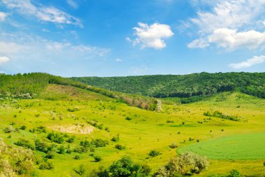 Ağaçları ve çalıları olan tepelik yeşil tarlalar. Mavi gökyüzünde güzel bulutlar var.