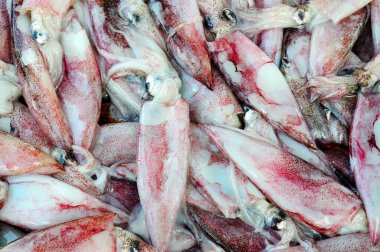 Deniz ürünleri pazarında mürekkep balıkları. Sri Lanka.