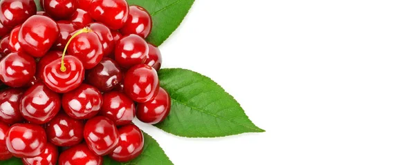 Appetizing Fresh Cherry Isolated White Background Wide Photo Free Space — Stock Photo, Image