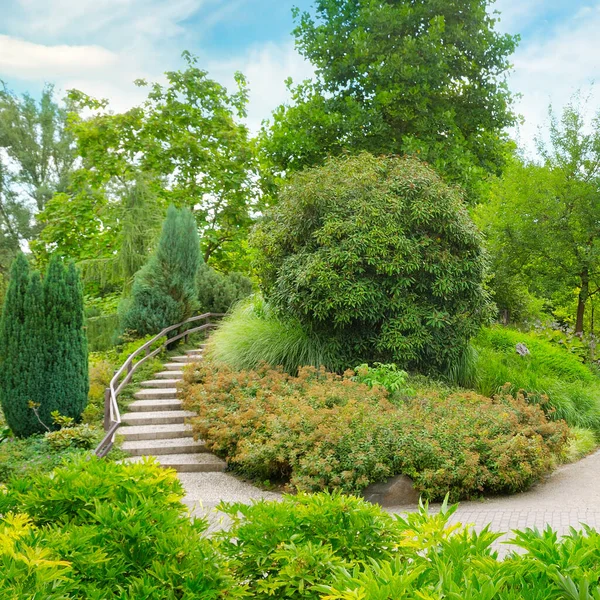 Parque Ciudad Con Hermosos Árboles Arbustos Una Escalera Decorativa — Foto de Stock