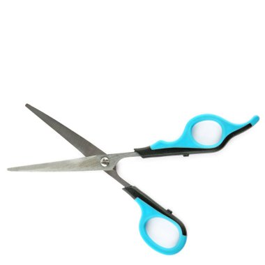 Beyaz arka planda izole edilmiş hayvanları yetiştirmek için makas. Metin için boş alan.