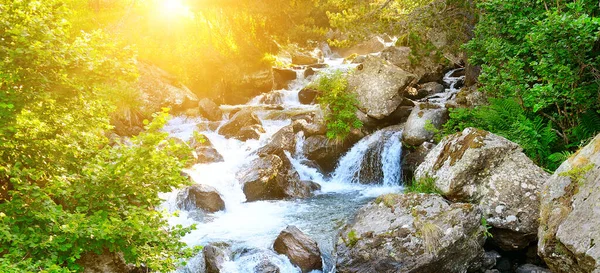 Sungai Pegunungan Dengan Air Terjun Hutan Picturesque Dan Matahari Terbit — Stok Foto