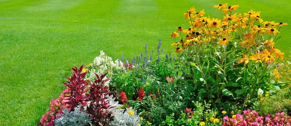 Çimlerin Üzerinde Çok Renkli Çiçek Tarhı Yatay Çekim Geniş Resim — Stok fotoğraf