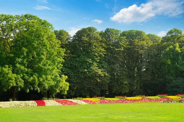Weelderige Aangelegde Tuin Met Bloembed Kleurrijke Planten — Stockfoto