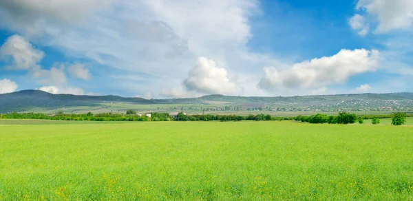Зеленый Луг Голубое Небо Состав Природы — стоковое фото