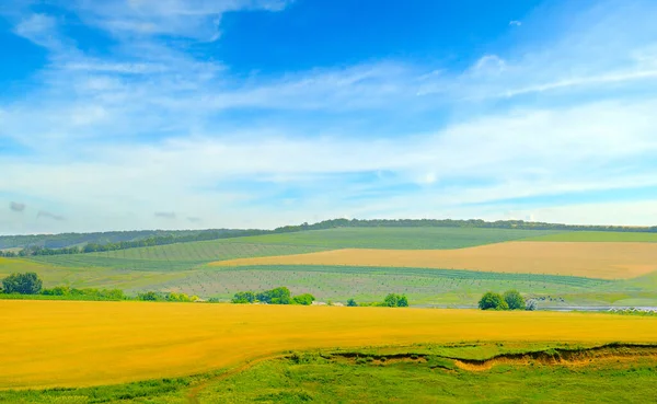絵のように美しいフィールドと青空 農業景観 — ストック写真