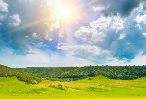 Beau Paysage Champs Vallonnés Avec Herbe Verte Soleil — Photo