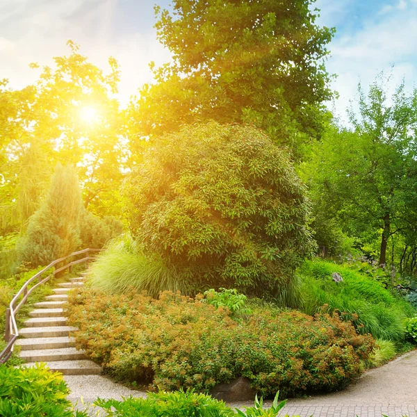 Acogedor Parque Otoño Con Una Hermosa Escalera Caminos Arbustos Enebro — Foto de Stock