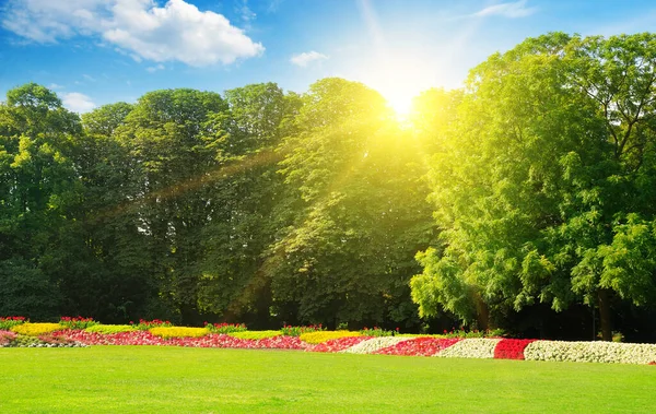 Ein Schöner Sommergarten Mit Weitläufigen Rasenflächen Und Bunten Blumenbeeten Großes — Stockfoto