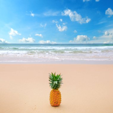 Gök mavisi ve gök mavisi denizin arka planına karşı kumlu bir sahilde ananas. Kavram - Tropik bölgelerde tatil.