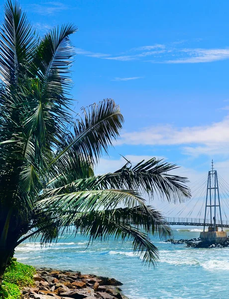 Seascape Kokosnötsträd Hav Bro Och Vacker Mulen Himmel — Stockfoto