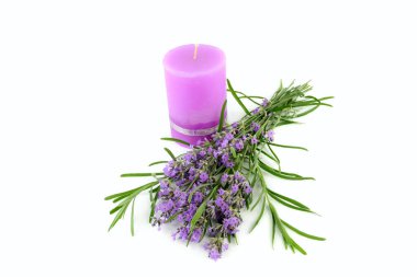Metalik kurdeleli kalın mor bir mum saf beyaz arka planda bir demet taze lavanta çiçeğinin yanında duruyor. Zarif, minimalist düzenleme sakinlik ve rahatlama hissi uyandırıyor..
