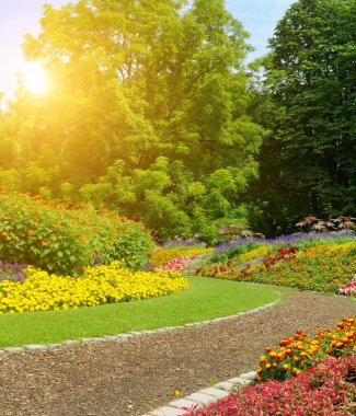 Güneşle sırılsıklam olmuş bir bahçe yolu canlı çiçeklerin ve yemyeşil ağaçların arasından esiyor. Görüntü, doğa, sükunet ve bahar ile ilgili kavramlar için mükemmel bir huzur ve doğal güzelliği çağrıştırıyor..