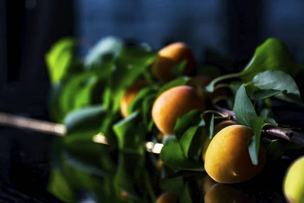 Une Branche Abricot Sur Une Table Noire Fond Noir — Photo