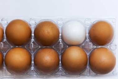 İzole kapalı kahverengi yumurta bir yumurta kutusundaki arasında beyaz yumurta