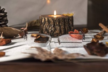 Çeşitli kuru yaprak ve çiçek bir dergi ve ahşap bir masa, gözlük ile yakından, kapalı