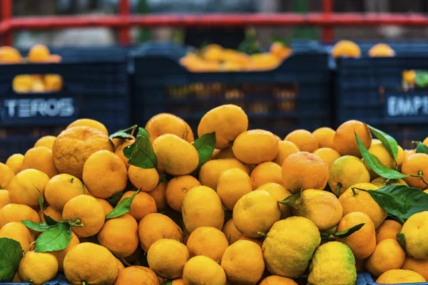 Mandarinas Puesto Mercado Aire Libre Frutas Saludables Aire Libre Para Imagen De Stock