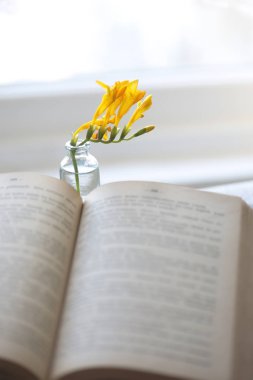 Küçük bir vazoda sarı taze çiçekler. Pencerenin önünde antik bir kitap var. Kapalı, hayat dolu. 