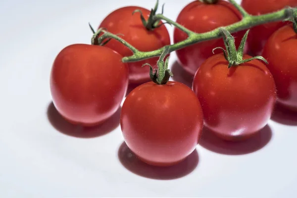Manojo Tomates Sobre Fondo Blanco Aislado Macrofotografía — Foto de Stock