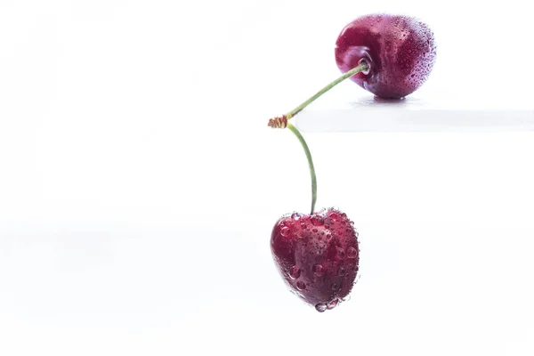 Doble Tallo Cereza Una Mesa Blanca Cerca Aislado Macrofotografía — Foto de Stock