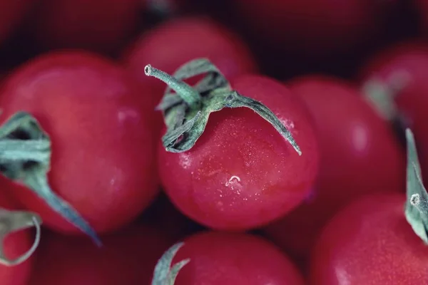 Grupo Tomates Cherry Cerca Macrofotografía — Foto de Stock