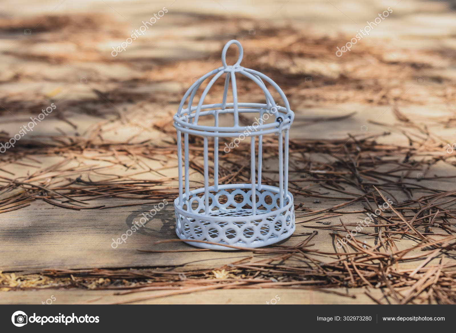 Vintage Bird Cage Decor Stock Photo C Anelerodie85 Gmail Com