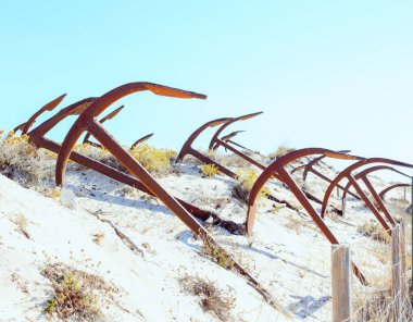 Barril plaj tavira Portekiz Arka Plan