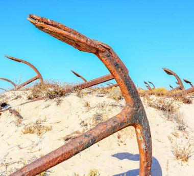 Barril plaj tavira Portekiz Arka Plan