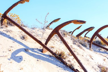 Barril plaj tavira Portekiz Arka Plan