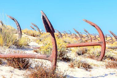 Barril plaj tavira Portekiz Arka Plan