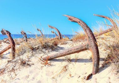 Barril plaj tavira Portekiz Arka Plan