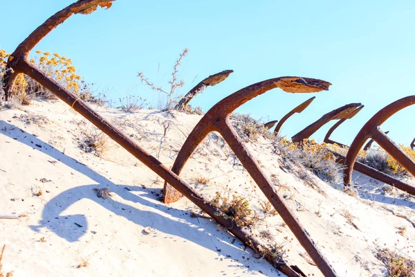 Barril plaj tavira Portekiz Arka Plan