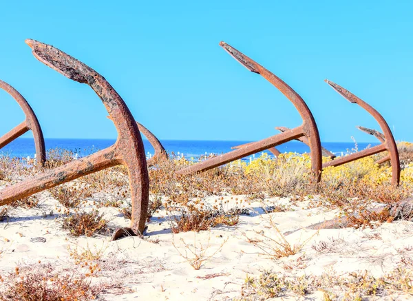 Barril plaj tavira Portekiz Arka Plan