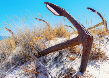 Barril plaj tavira Portekiz Arka Plan