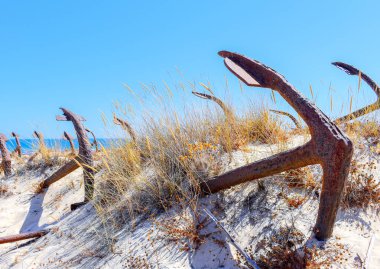 Barril plaj tavira Portekiz Arka Plan