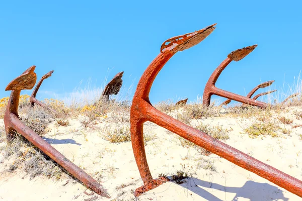 Barril plaj tavira Portekiz Arka Plan