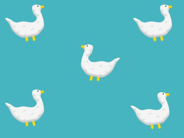 Güzel Beyaz Ördek Görüntü Arkaplanı