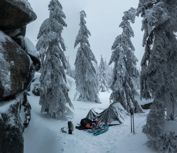 winter camping in frosty forest