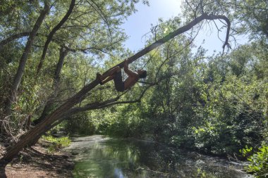 Yaslanmış ağaç orman akışında üzerinde geniş açı kas macera adam