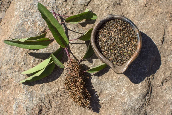 Vista Alto Ângulo Malosma Laurina Laurel Sumac Ramo Lado Tigela — Fotografia de Stock