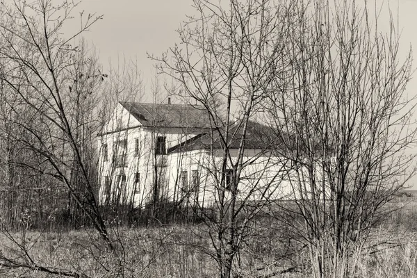 Uma Casa Isolada Cor Branca Campo Meio Das Árvores Primeiro — Fotografia de Stock