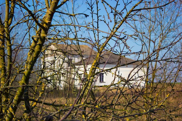 Detached House White Color Countryside Middle Trees House Blur Zone — Stock Photo, Image