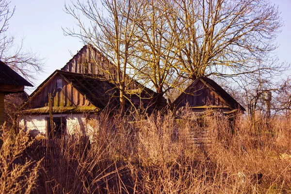 Dorfhäuser Mit Satteldächern Die Inmitten Von Bäumen Büschen Und Grasbüschen — Stockfoto