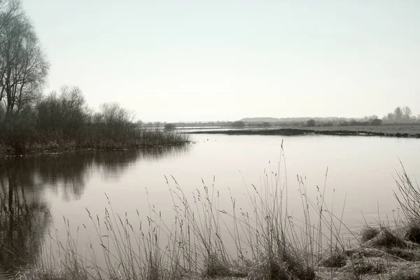 Ebene Ruhiger Fluss Sträucher Gegenüberliegenden Ufer Hohe Grashalme Vordergrund Der — Stockfoto