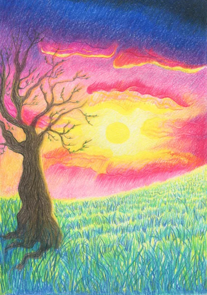 Beautiful Fairy Tale Landscape Tree Meadow Sunset Background Drawing Colored — Stock Photo, Image